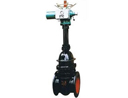 Z941H-16Q��Z941H-25Q ��늄�Шʽ�T�F�l�y